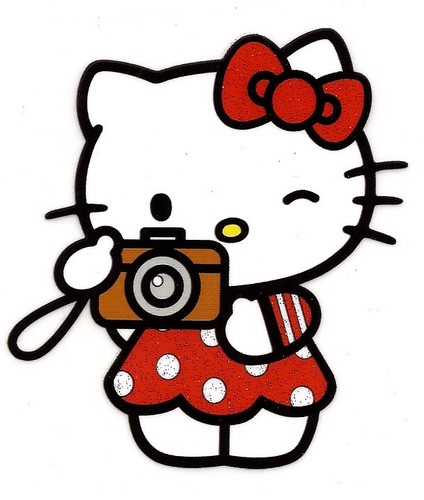 5x3 kitty glitter camera - glitter,