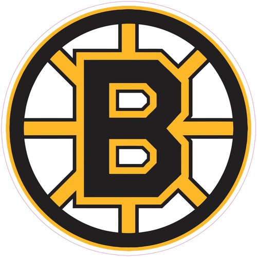 Boston bruins - (not,